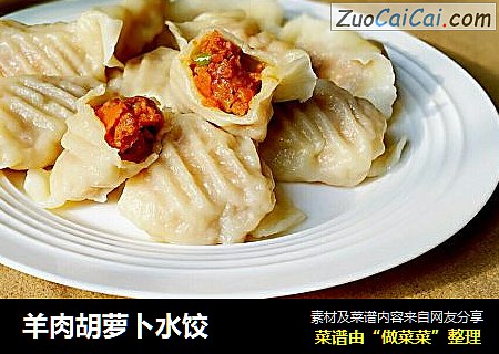 羊肉胡萝卜水饺