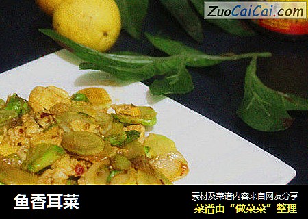 鱼香耳菜
