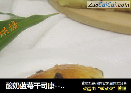 酸奶蓝莓干司康---懒人首选快捷早餐
