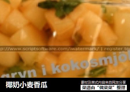 椰奶小麦香瓜