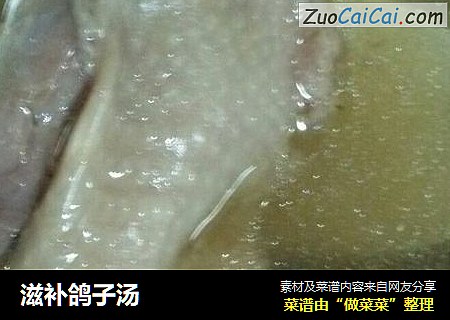 滋补鸽子汤