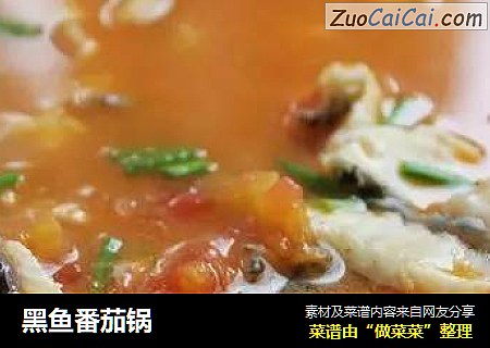 黑鱼番茄锅