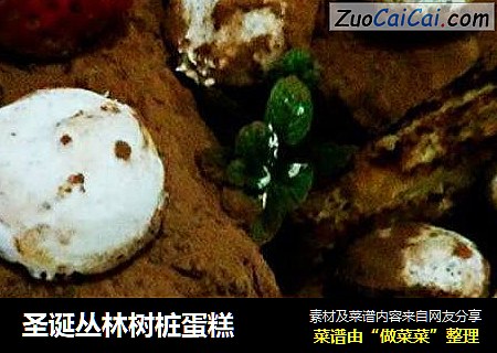 圣诞丛林树桩蛋糕