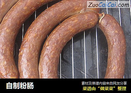 自制粉肠