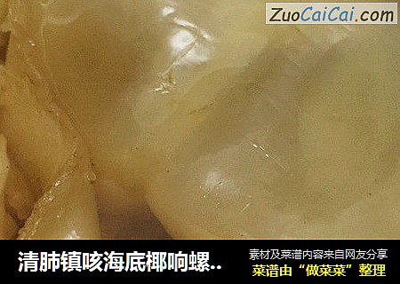 清肺镇咳海底椰响螺片花胶汤