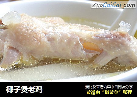椰子煲老鸡