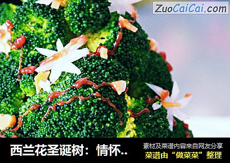 西兰花圣诞树：情怀那点事儿