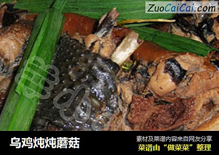 乌鸡炖炖蘑菇