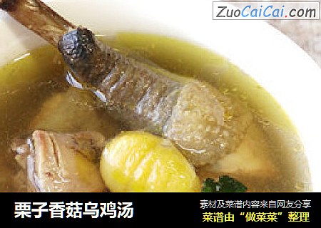 栗子香菇乌鸡汤