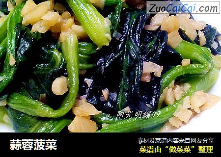 蒜蓉菠菜