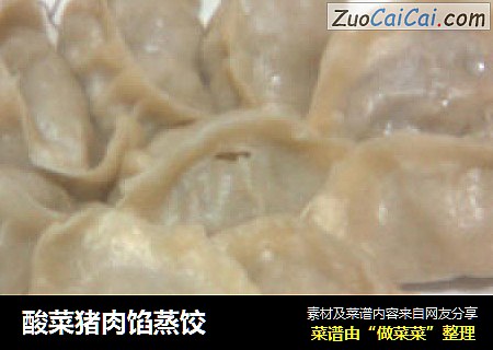酸菜猪肉馅蒸饺