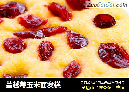 蔓越莓玉米面发糕
