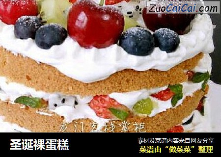 圣诞裸蛋糕