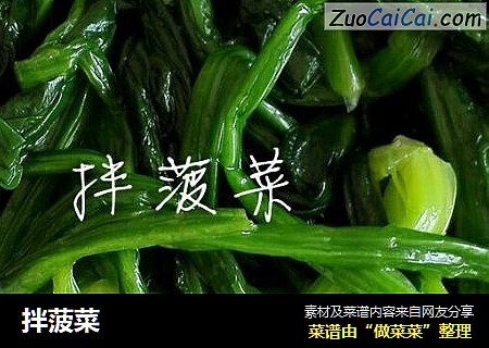 拌菠菜