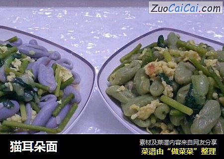 猫耳朵面