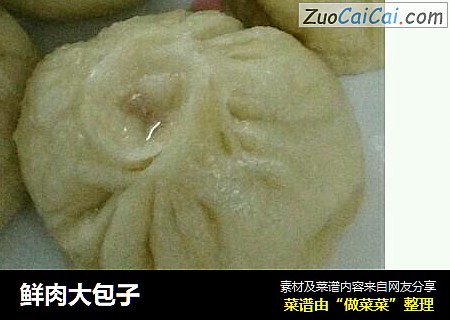 鲜肉大包子