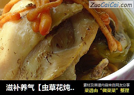 滋补养气【虫草花炖鸡】