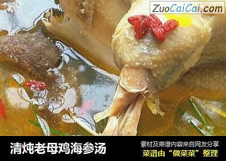 清炖老母鸡海参汤