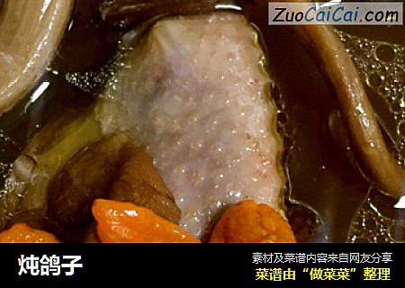 炖鸽子