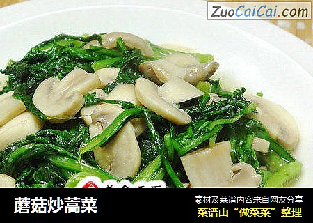 蘑菇炒蒿菜