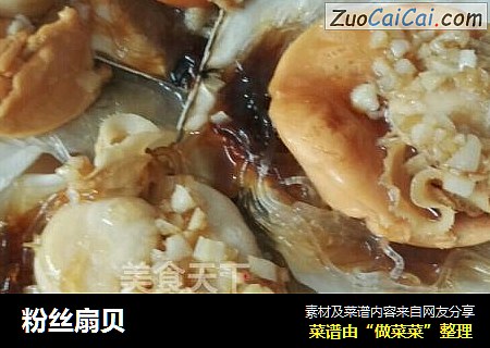 粉丝扇贝
