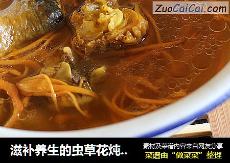 滋补养生的虫草花炖鸡汤