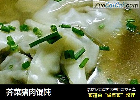 荠菜猪肉馄饨