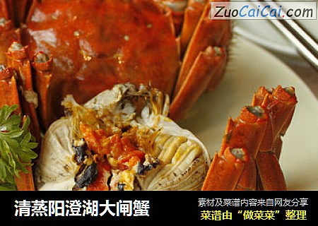 清蒸阳澄湖大闸蟹