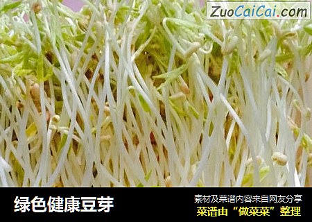 绿色健康豆芽