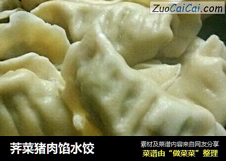 荠菜猪肉馅水饺