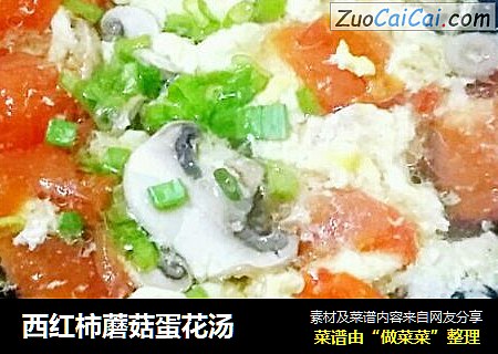 西红柿蘑菇蛋花汤