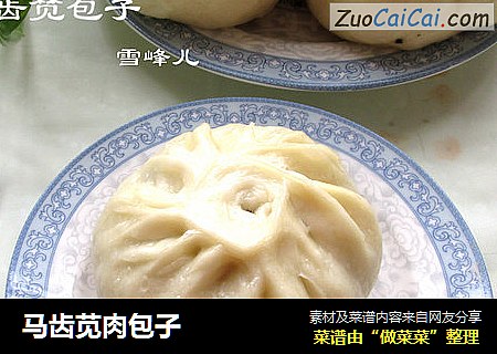 马齿苋肉包子