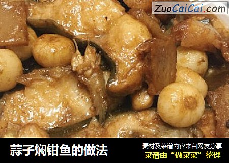 蒜子焖钳鱼的做法