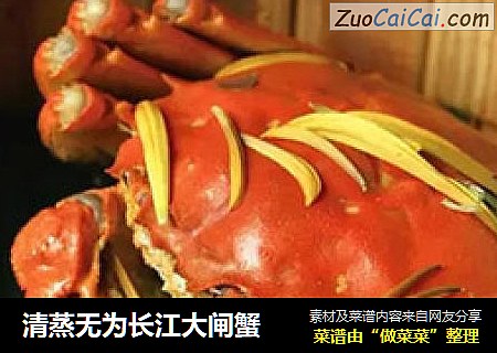 清蒸无为长江大闸蟹