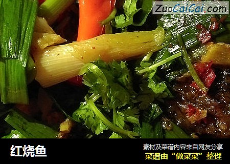 红烧鱼