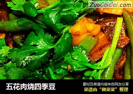 五花肉烧四季豆