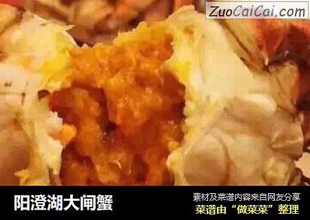 阳澄湖大闸蟹