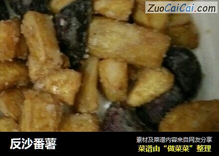 反沙番薯