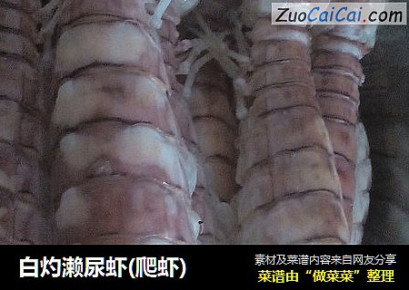 白灼濑尿虾