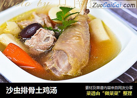 沙虫排骨土鸡汤