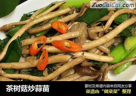 茶树菇炒蒜苗