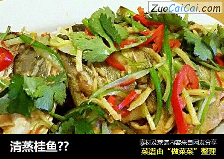 清蒸桂鱼??