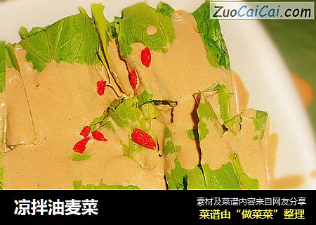凉拌油麦菜
