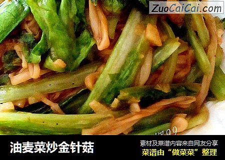 油麦菜炒金针菇