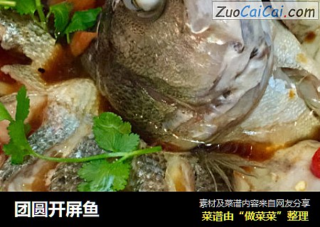 团圆开屏鱼