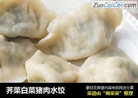 荠菜白菜猪肉水饺