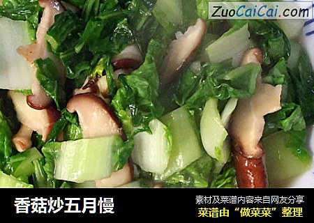 香菇炒五月慢