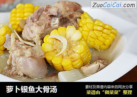萝卜银鱼大骨汤