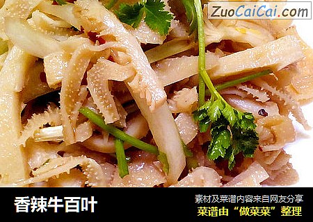 香辣牛百叶