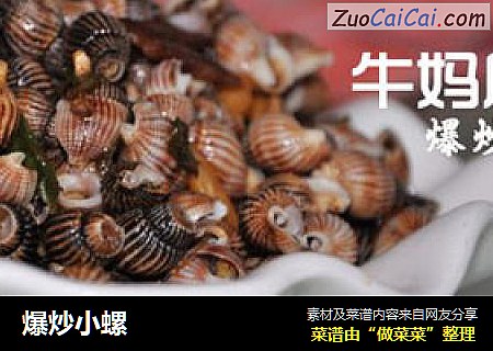 爆炒小螺